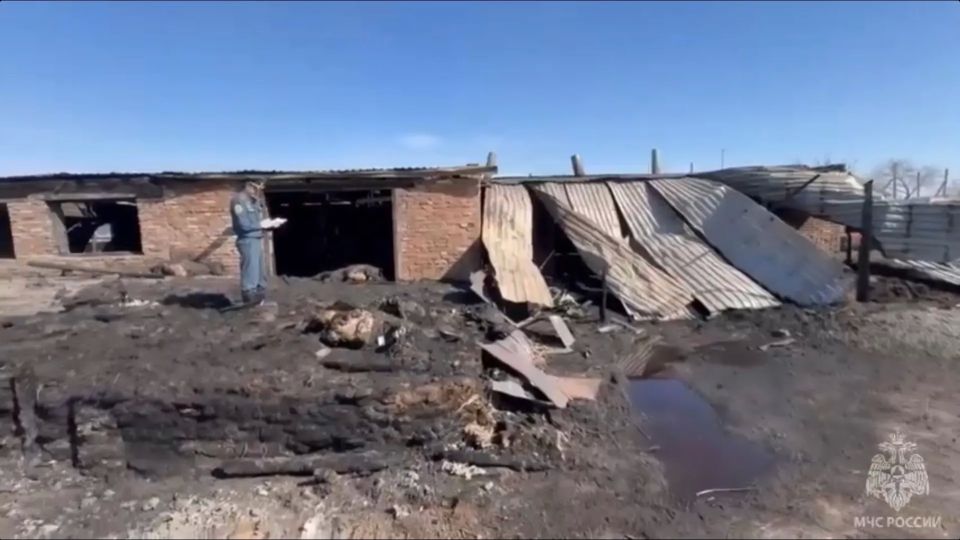 15 ����� � 60 ���� ���� ���������� ���������� ���������� ����, ����������� �����