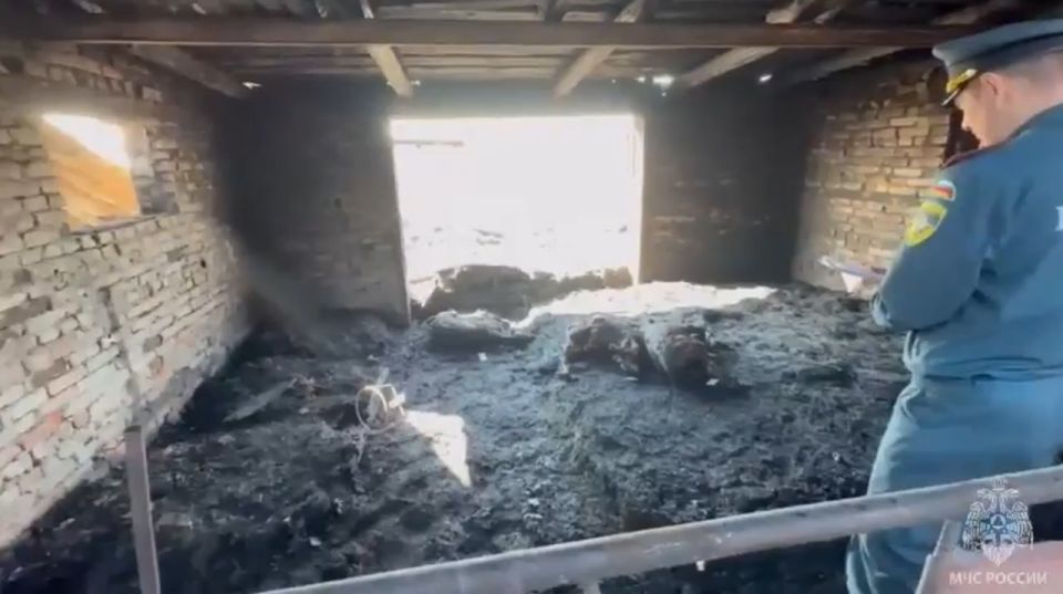 15 ����� ������� � ������ ��-�� ���� �����