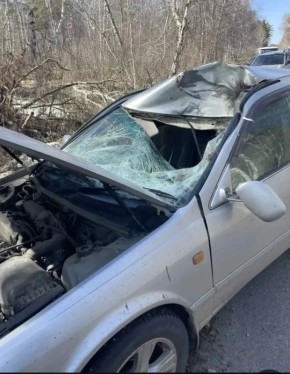 ���� �������� ����� � ������������ ������