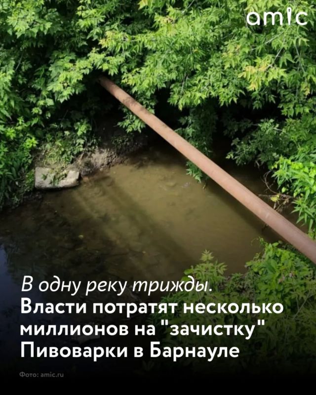 ����� ������������ ��������� ������� �� ������ � �������� ��������������, ������ ����� � ���� ������