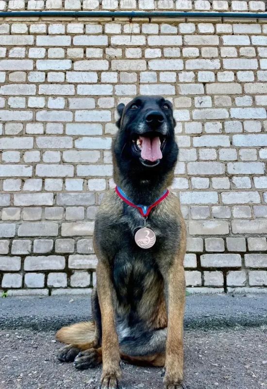 � ���������� ����� ���� ����� ������ ��� ����������� �������, �������� �� ������