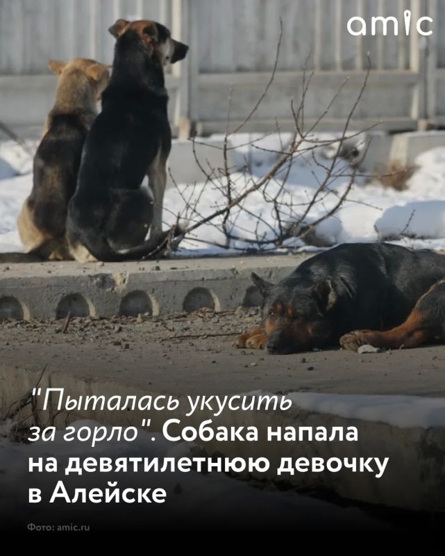 ������� ������������ �������, �� ������� � ����� ������ ��������� ������, �� ��� ��� ��������� �� ������� � ����������