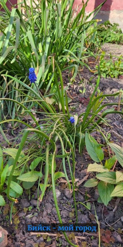 ������ �������� �������� ������ �� ����� �� ����� 8 �����! � ����� ���������� ����������!