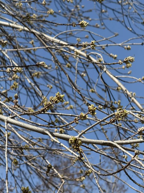 ������� �����������. � �������� �� �������� � ����������� �������� ��������� ������������ �����