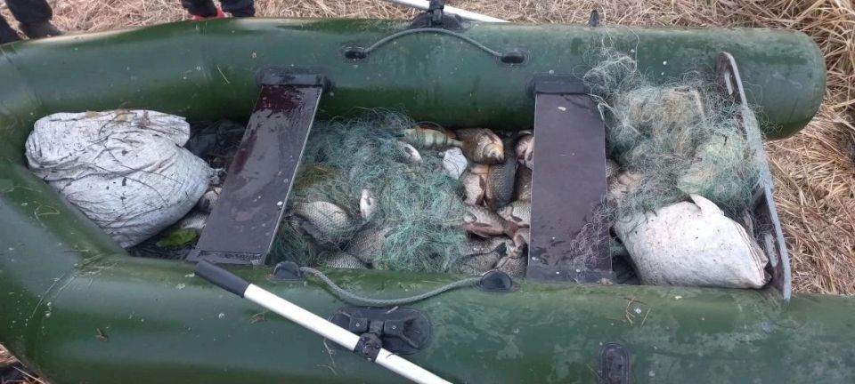 ������� ������� �� ������� �� �����: � ������� ������ ��������� ���� ������, ������� �������� � ��������� ������