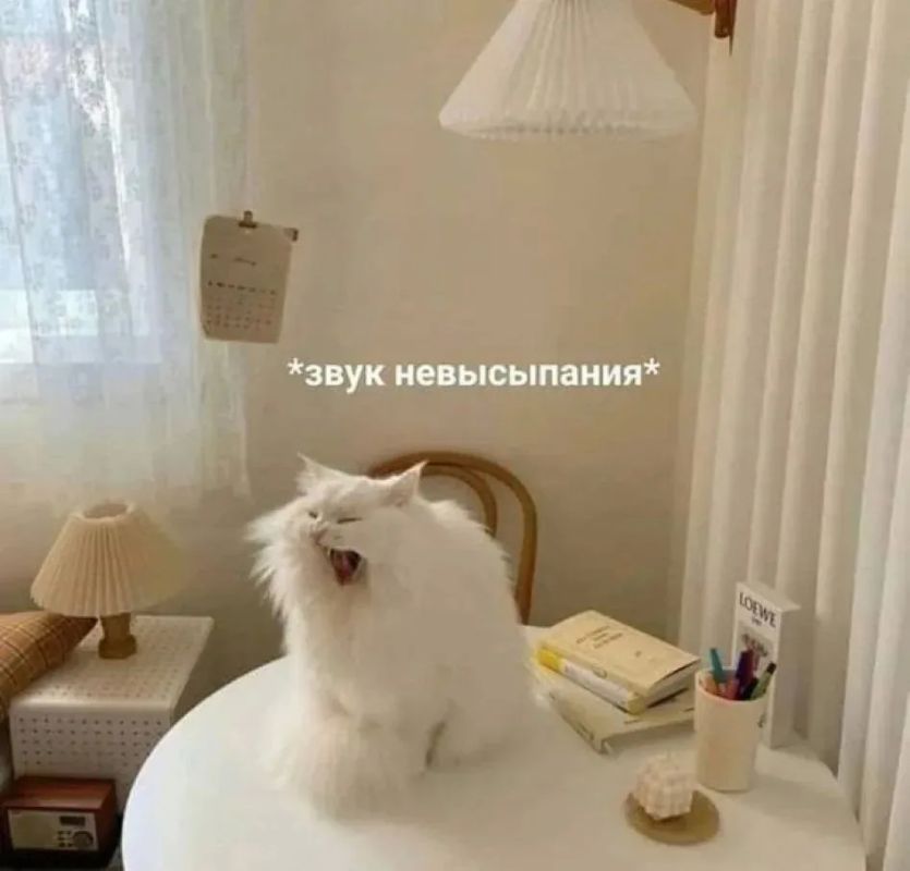 ������ ����, ��������� ����!