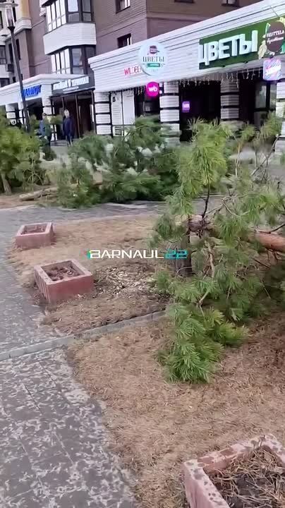 � ����������� �������� ����������� ����� ����������� ����� �� ����������� �� ���� ����������� � 65 ��� ������