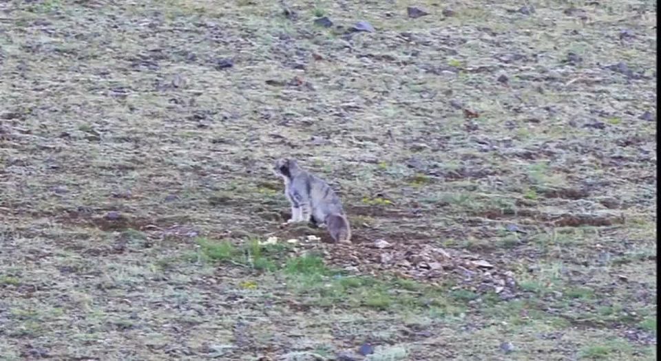 ����� ������ � ����� �������� �������� � ������ � ���-�������� ������