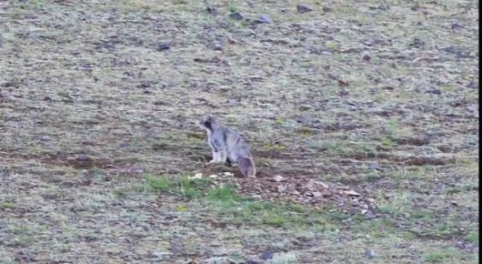 ����� ������ � ����� �������� �������� � ������ � ���-�������� ������