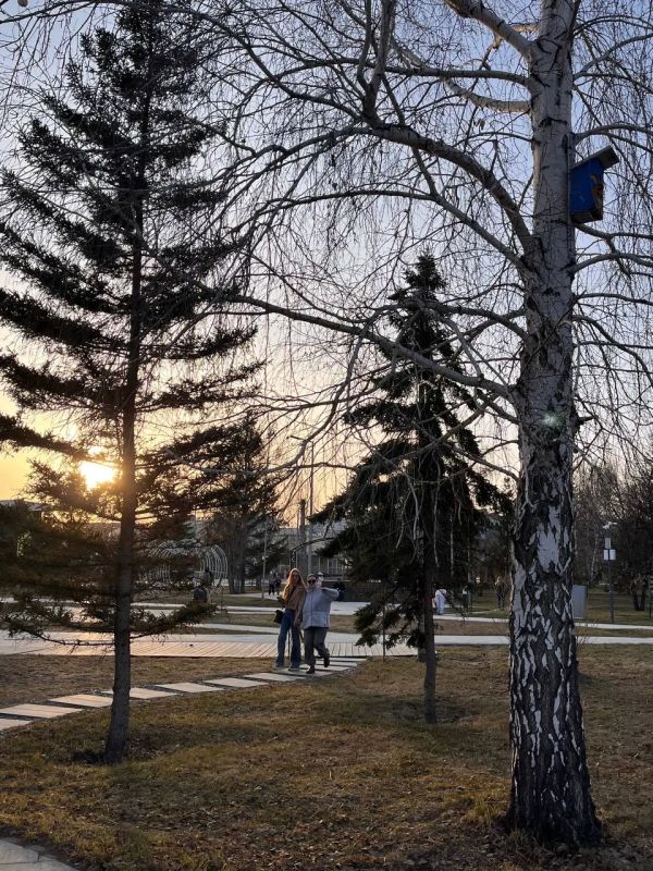 ��������� ����� ������ �� ��������� ������� ���� � ���� �������