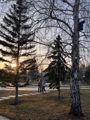 ��������� ����� ������ �� ��������� ������� ���� � ���� �������