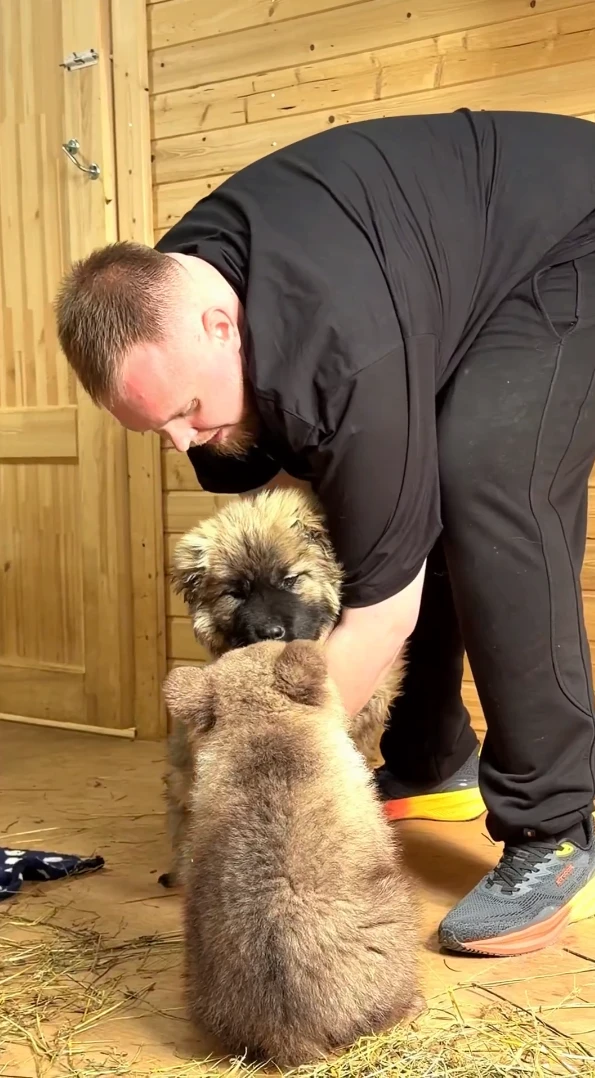 Вы уже слышали про медвежонка Дыньку и ее дружбу с псом Арбузиком? За судьбой малышей следят тысячи россиян Вы уже слышали про медвежонка Дыньку и ее дружбу с псом Арбузиком? За судьбой малышей следят тысячи россиян