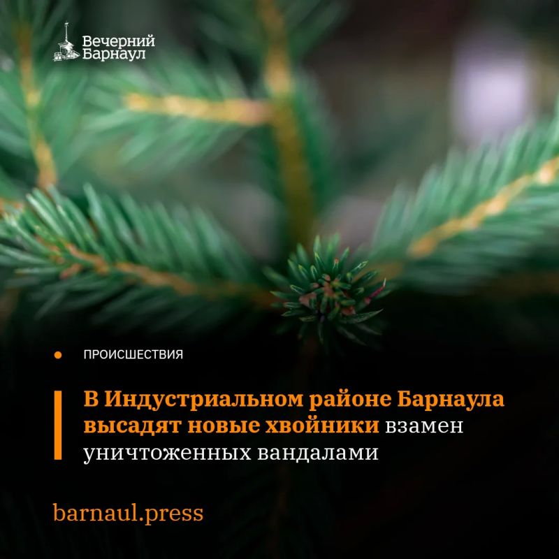 � ����������� ������� ��������������� ������ �������� �������������� ��������� ������� ���������� �������� �����