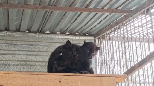 �������� ���������. � ������������ �������� ���������� ����� ����� � ���������� ����� � ��������� ��������