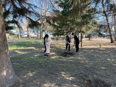 �������� ������������� � �������������� ����������