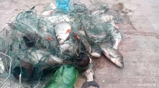 ������������ ����: ��������� ���� �� ������� ��� ���������� ����� ����������� ���������� ����