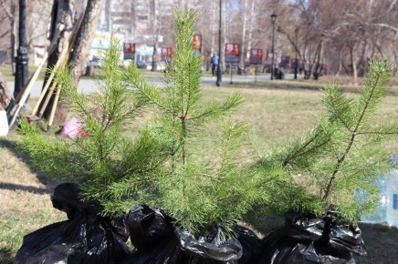 � �������� �������� �������� ������� ��������