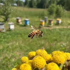 ��� ����� ����������� ������: ��� ����� ����� ���������