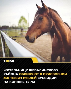 � ����������� ������ ������� ����� ������ �� ���������� �������� �� ������ ����