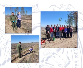 � ������������ ������ ������� �� ������ ������ �� ����������� ������� ������� � ����� ���� ������