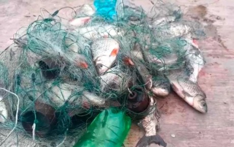 ����� ����������� ������ �� 5 ��� ������ �� ������� �� ���