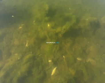 �������� ����� ��������� � ��������� ����� � ����������� ����� ����