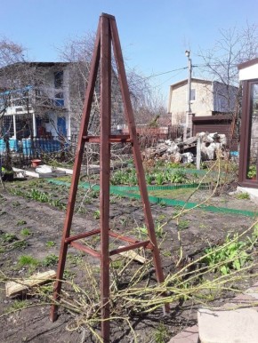 ��� ��������� ���� �������� ����: ������� �������� ������� � ������� ����������