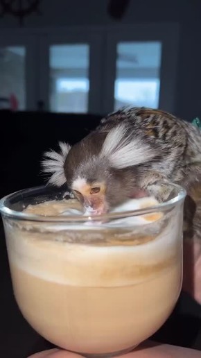 ���� �� ����� ����� ��� . ������ ����, ��������� ����!