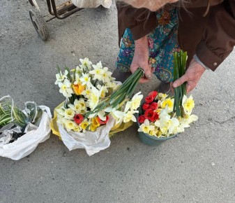 � �������� ������� �������� �������� � 30 ������, �������� � �� 70