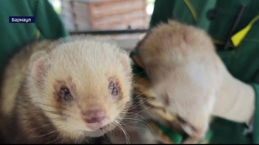 � ������������ �������� ���������� ���������� � ���, ��� ����������� ���� ��������� ������ �� ������