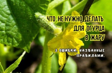 ��������� ������ ��� ������: ��� �������� �������� ������ � ����