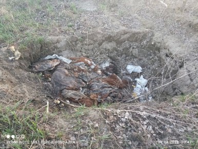 ��� ������������� ����� ������ � ��������� �����