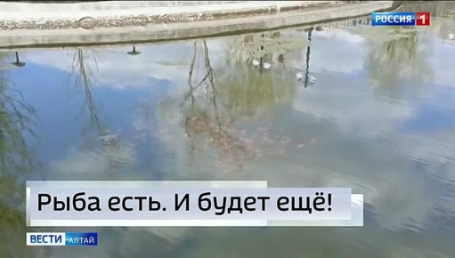 ����������� ������ ����������� �������� �������, ������� ������������ � ����� �� �������� �����