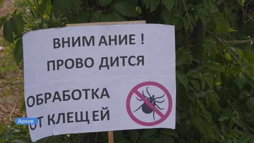 � �������� ������ ������������ �� ������ ���������� ����� ������ �������