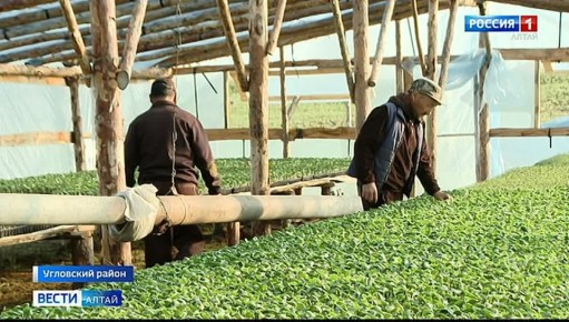 ������� ���������� ������ ��� �������� ������