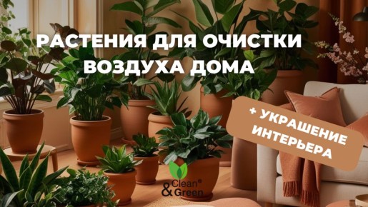 ��� ������� ��������� �������� �������� ������ � ����� ����