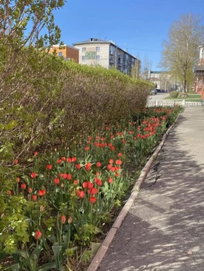 �������� ������������ � �������� ����� � ��������