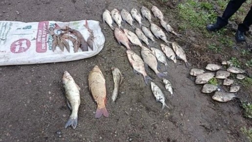 �������� � ������� ������ ���� ��������� �� ������ � ������� ������