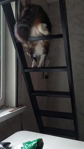 ��������� ������� . ������ ����, ��������� ����!