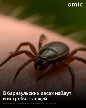 ������ � ��������� ����� �������� ���� �������� ������ � �����������: ������ ���� ����������, ������� �������� ���������������� ������������ � ��������������� ��������� ���� ����������