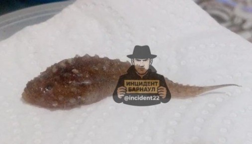 ���������� ���������� ���� ����� �������� �������� � ������ �� ��������