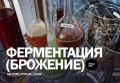 ����� �����������: �� ���� �� ����