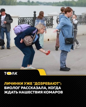 ������� ������� ������������ "���������" � ��������