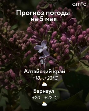 ������� �� +28. � ������ � ��������� ���� 5 ���