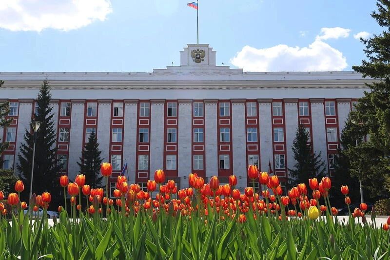 Белая черемуха и красные тюльпаны