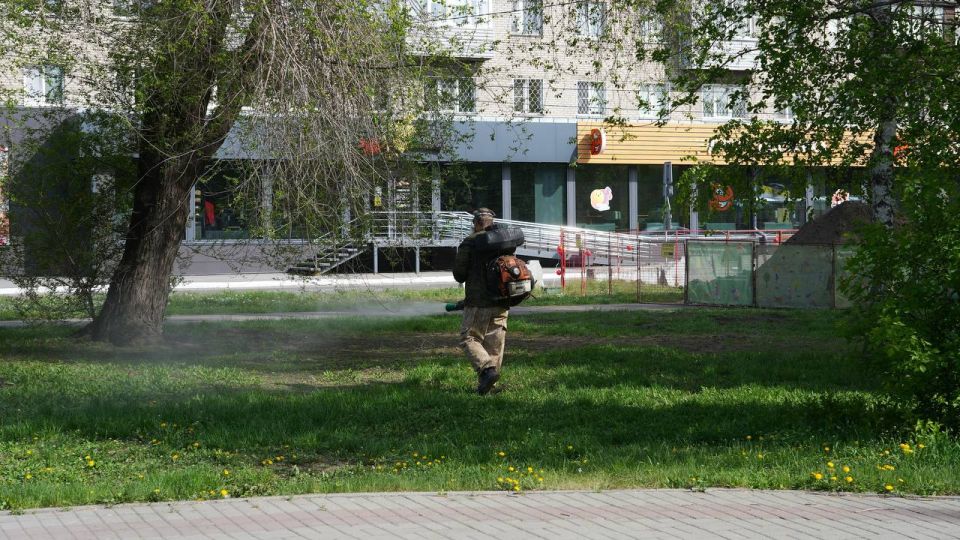Виктор Щигрев: В Бийске приступили к акарицидной обработке общественных территорий Виктор Щигрев: В Бийске приступили к акарицидной обработке общественных территорий