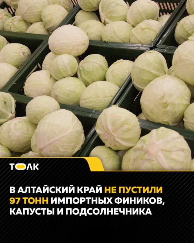 97 тонн импортных фиников, капусты и подсолнечника не пустили в Алтайский край