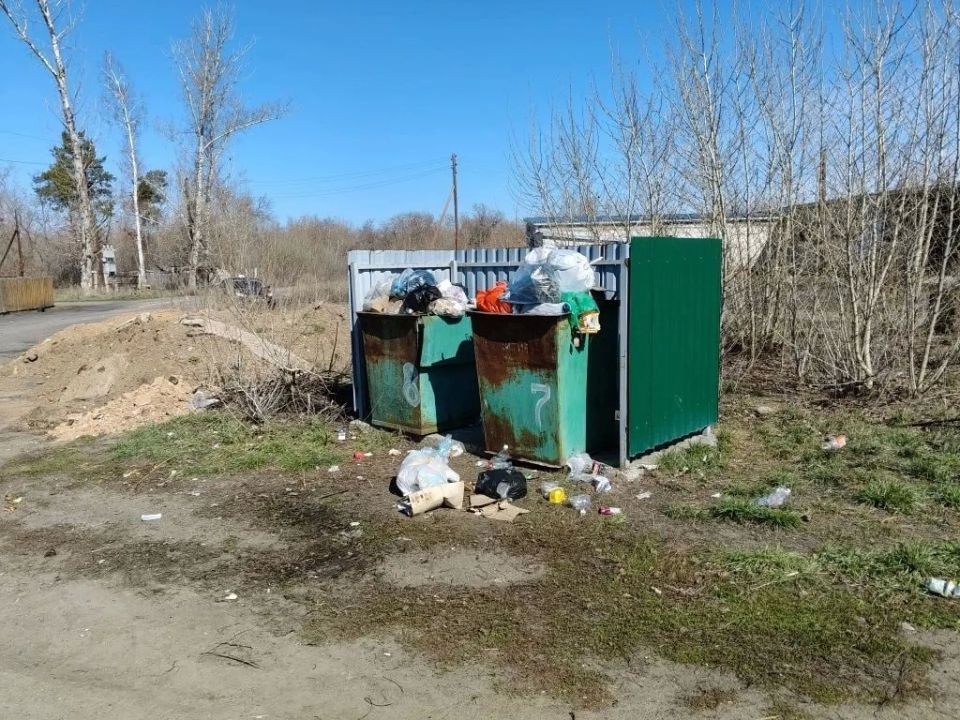 Власти Кулундинского и Ключевского округов пожаловались на критическую ситуацию с мусором