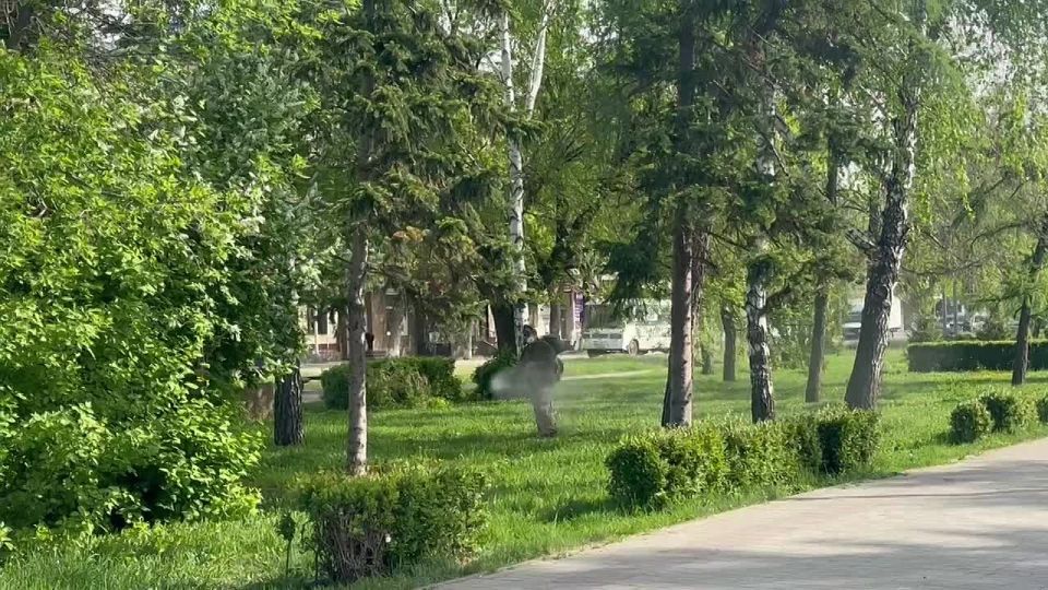 Виктор Щигрев: В Бийске приступили к акарицидной обработке общественных территорий