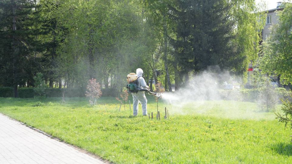 Виктор Щигрев: В Бийске приступили к акарицидной обработке общественных территорий Виктор Щигрев: В Бийске приступили к акарицидной обработке общественных территорий